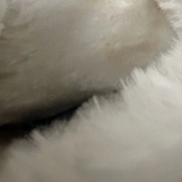 NO NAME BRAND - Picture 7 of 11